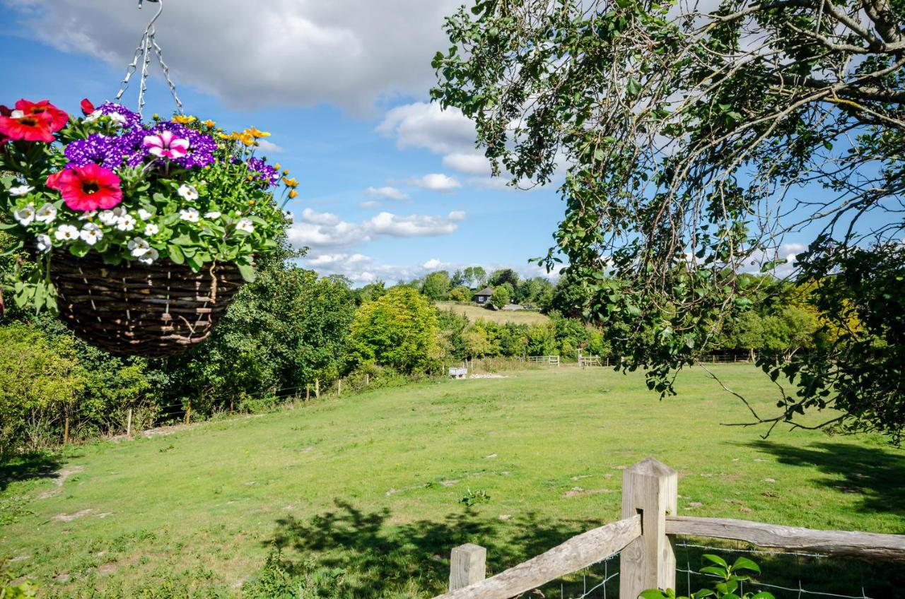 Lavender Lodge Arundel Luaran gambar